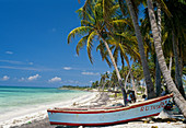Punta Cana. Dominican Republic. West Indies. Caribbean