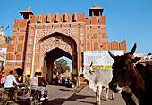 Gate, walled. Old city (Pink City). Jaipur. Rajasthan. India