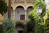 Patio, Cordoba. Andalusia, Spain