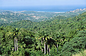 View of Saint Andrew administrative parish. Barbados