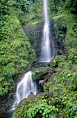 Middleham waterfalls. Dominica