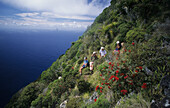 Menschen besteigen den Mt. Gower, Lord Howe Island, Australien