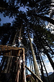 Mountain biker standing on a ramp, Oberammergau, Bavaria, Germany