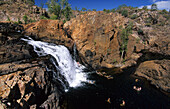 Eine Gruppe von Leute beim Schwimmen, Edith Falls im Nitmiluk National Park, Northern Territory, Australien