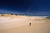 coast along the Younghusband Peninsula, Coorong National Park, South Australia, Australia