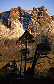 The walls of Mt. Ossa, Cradle Mountain Lake St. Clair National Park, Tasmania, Australia