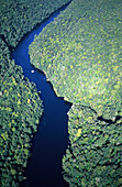 Aerial photo of Gordon River, Gordon Franklin Wild Rivers National Park, Tasmania, Australia