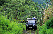 4x4, 4WD, Four-wheel drive tour of the island, Tahiti, French Polynesia, south sea