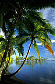 Lagoon near the Batanical Gardens, Tahiti, French Polynesia, south sea