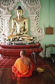 Buddhist monk meditates in front of Buddha statue, Yangon, Burma