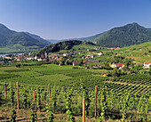 Village Spitz. Donau river, wine growing. Region Wachau, Lower Austria