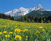 Spring on the Tennengebirge in Salzburg country, Austria