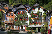 Houses in Village Hallstatt