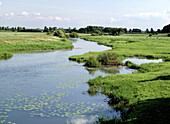 River Aller. Lower Saxony. Germany
