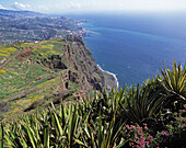 Cabo Girão. Madeira. Portugal