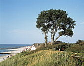 Germany, Ahrenshoop, seaside resort, Baltic Sea, Darss, Fischland, Mecklenburg-Western Pomerania, landscape