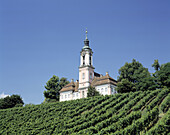 Germany: Uhldingen-Muehlhofen, Lake Constance, Baden-Wurttemberg, Pilgrimage Church Birnau, baroque, vineyards, grapes