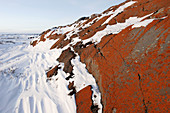 Snow drift on lichen covered rocks (orange color) outside Churchill, Manitoba, Canada.