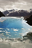 Calved ice floating in Tracy Arm, Southeast Alaska, USA.
