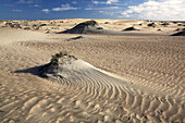 Sand Dunes on Isla San Domingo, Baja, Mexico.