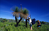 Zwei Wanderer in Leeuwin-Naturaliste National Parks, Grassbäume entlang des Cape to Cape Walks, Westaustralien, Australien