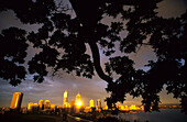 Die Skyline vom Kings Park aus gesehen, Perth, Westaustralien, Australien