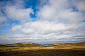 Moorlandschaft, Insel Bressay vor Lerwick, Shetland, Schottland, Großbritannien, England