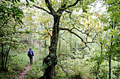 Walking through a forest at Cadi-Moixero Natural Park. Pyrenees. Catalonia. Spain