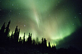 Aurora Borealis or Nothern Lights. Brooks range. Alaska. USA