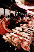 Iquitos fish market. Amazonia. Peru
