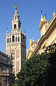 La Giralda. Seville, Andalusia, Spain