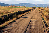 Cabañeros National Park. Ciudad Real. Spain