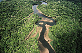 Darién National Park, view from a helicopter. Panama