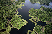 Rainforest and river. Darien. Panama
