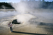 Volcanic geyser at Waiotapu thermal area. North Island. New Zealand