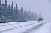 Frozen road. Denali National Park. Alaska. USA