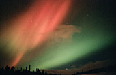 Aurora Borealis or Nothern Lights. Yukon territory. Canada