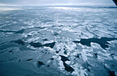 Freezing Bering strait. Alaska. USA