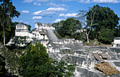 Tikal Maya ruins. Yucatan. Guatemala