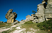 Picos de Urbion, Soria province, Castile-Leon, Spain