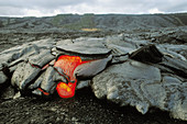 Lava. Volcano Kilauea. Hawaii Volcanoes National Park. Big Island. Hawai