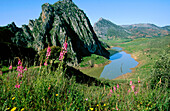 Sierra de Grazalema Natural Park. Cadiz province. Andalucia. Spain