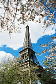 Eiffel Tower Paris France Spring