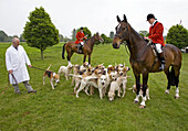 Foxhounds from the Craven Hunt