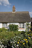 Cottage. Wicken Fen. Cambridgeshire. England. UK.