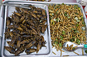 Cockroaches and Grubs. Thai Market