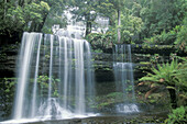 Russell Falls in Mount Field National Park. Tasmania. Australia