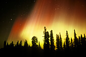 Aurora Borealis (Northern Lights). Alaska. USA