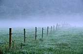Fence in fog. Baviera, Germany