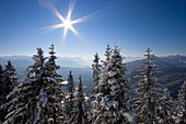 Blick vom Herzogstand, Winterlandschaft in den Bayrischen Alpen, Oberbayern, Deutschland